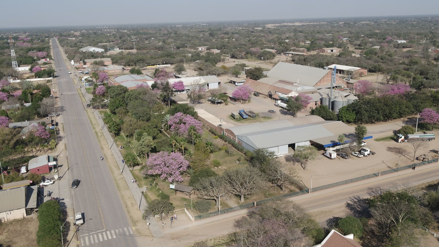 Campo de Neuland